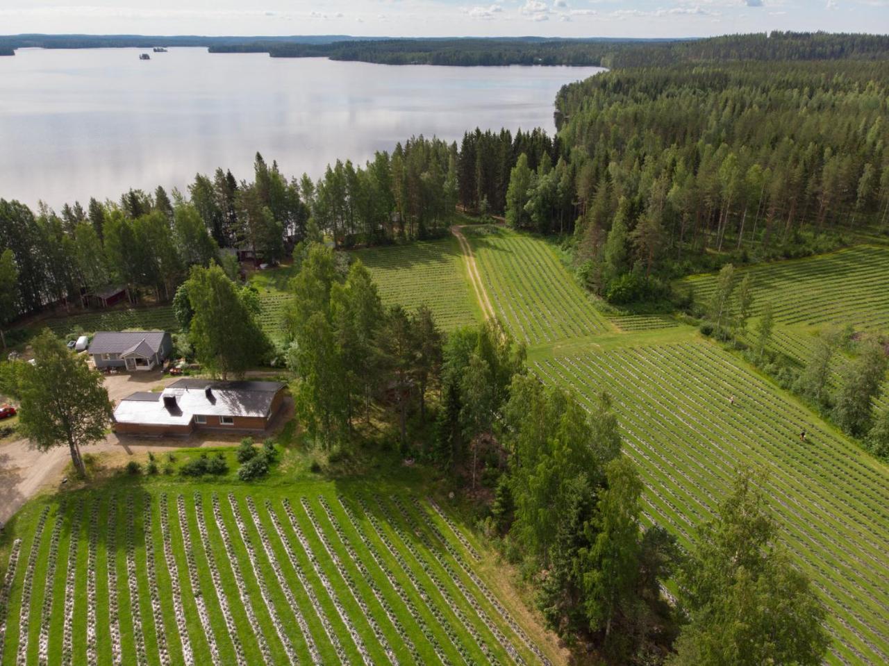 Hiekkarannanlomat Villa Kannonkoski Buitenkant foto